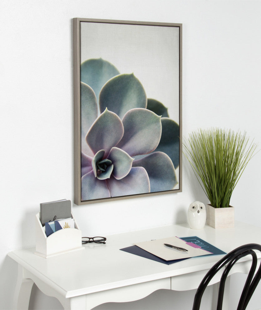 Sylvie Succulent 5 Framed Canvas by F2 Images, Gray 23x33