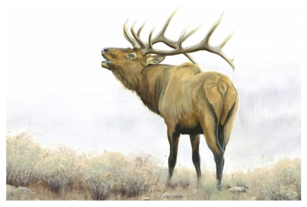 "Majestic Elk Brown" Digital Paper Print by James Wiens, 26"x18"