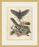 Prevailing Nature 6, Giclee Reproduction Artwork