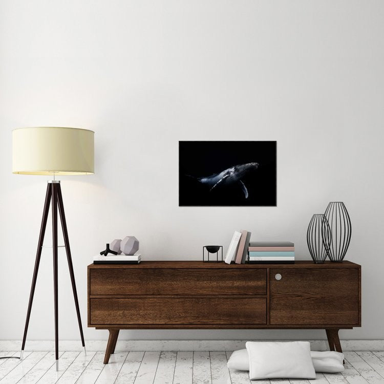 "Black and Whale" Framed Canvas Giclee by Barathieu Gabriel, 31x21"