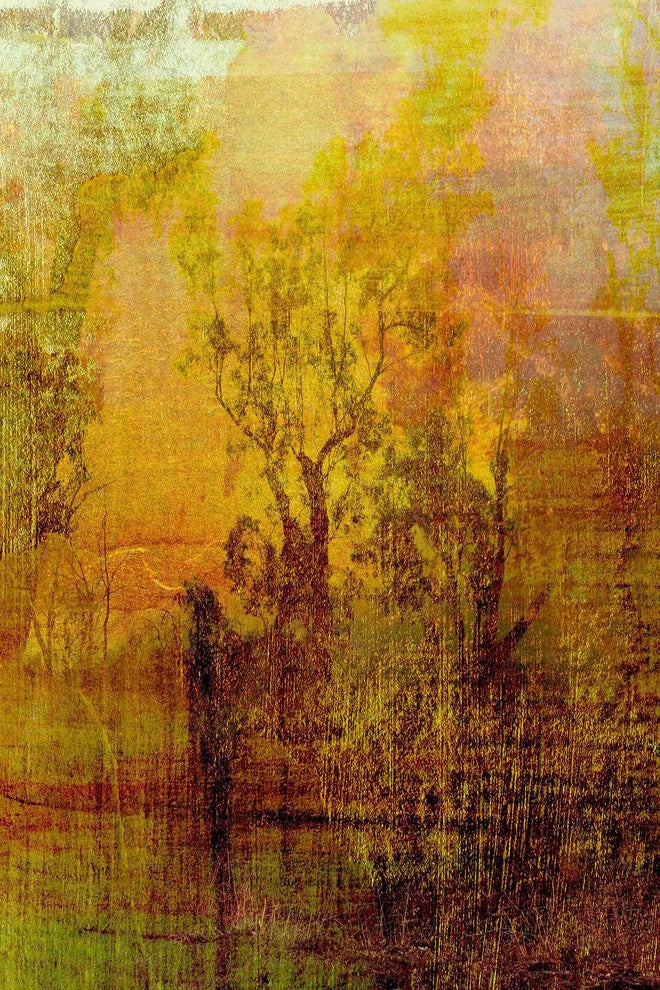 "Griffith Park IV" Painting Print on Canvas by Aryai