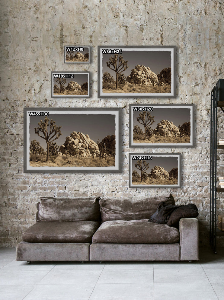 "Cactus and Rocks" Framed Painting Print, 24x16