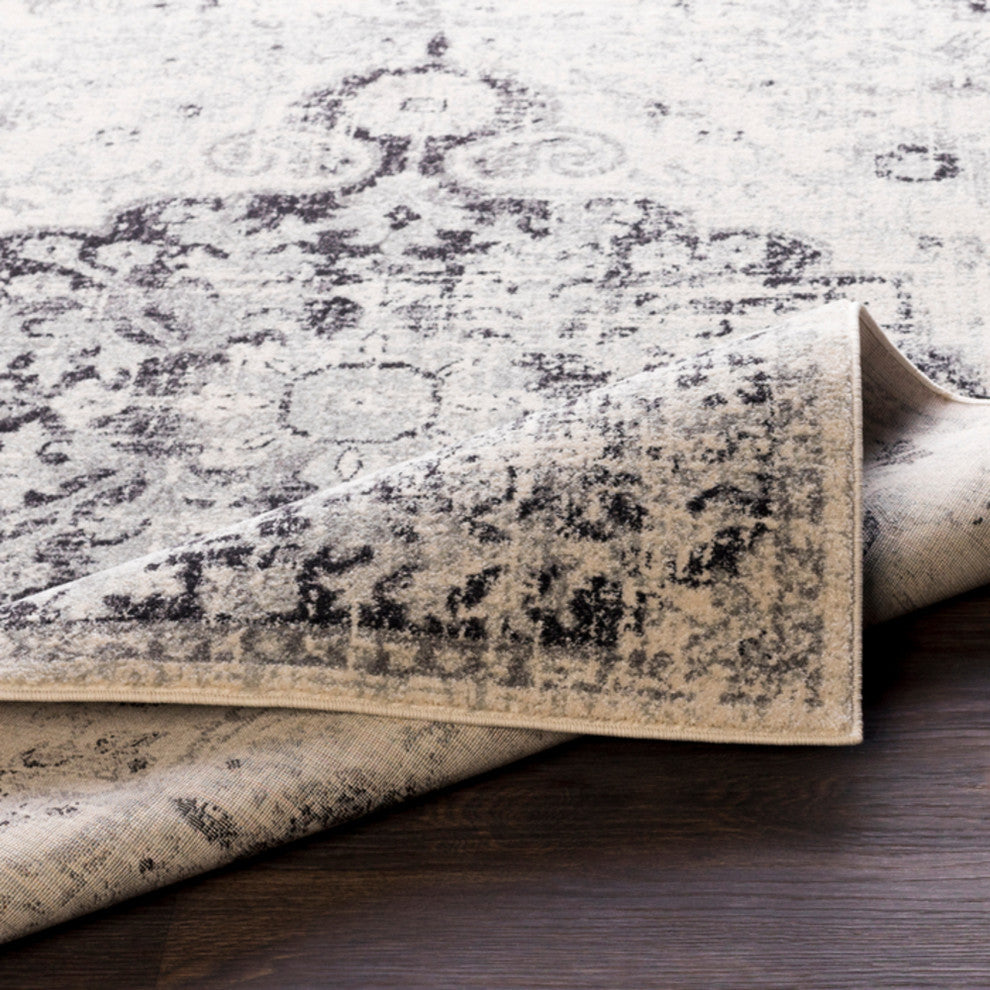 Harput Updated Traditional Beige, Light Gray Area Rug, 2'x3'