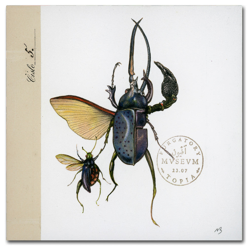 Nick Bantock 'Morph Insects' Canvas Art, 35x35