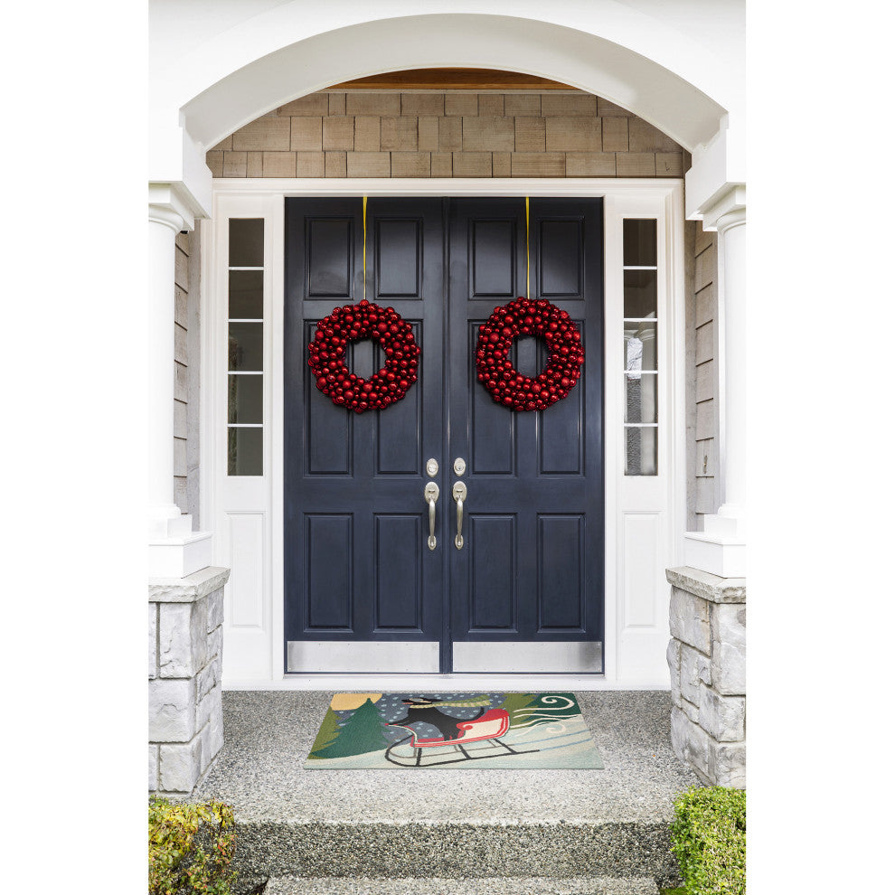 Frontporch Sledding Dog Indoor/Outdoor Rug Multi 2'6x4'
