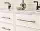Separa 10-1/16" Center-to-Center Black Brushed Nickel Cabinet Pull