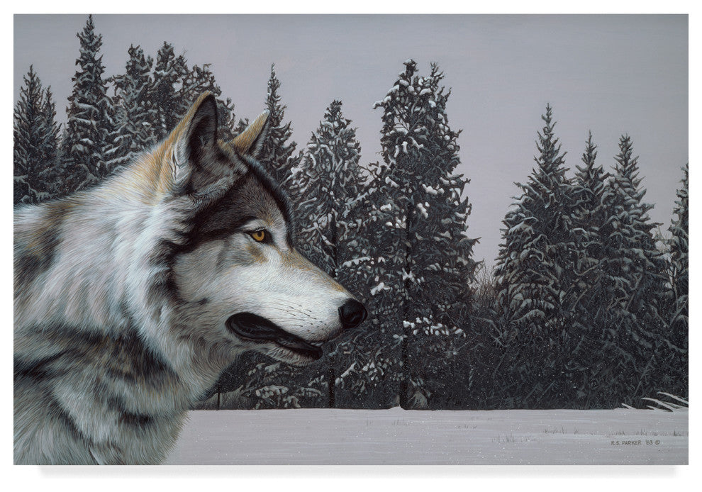 Ron Parker 'Wolf Portrait' Canvas Art, 19"x12"