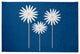 Floral Print Spring Chenille Rug, Dark Cobalt Blue, 2'x3'