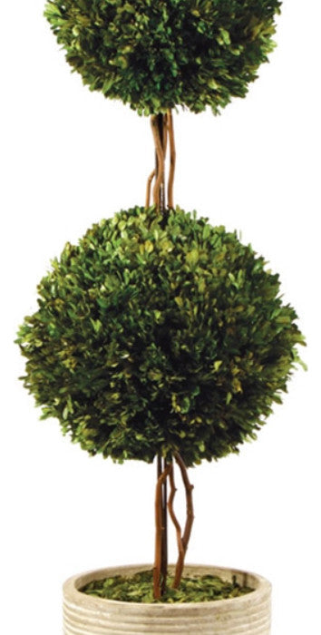 Elegant Double Ball Topiary Pot English Boxwood 28 in Classic Greenery Tabletop
