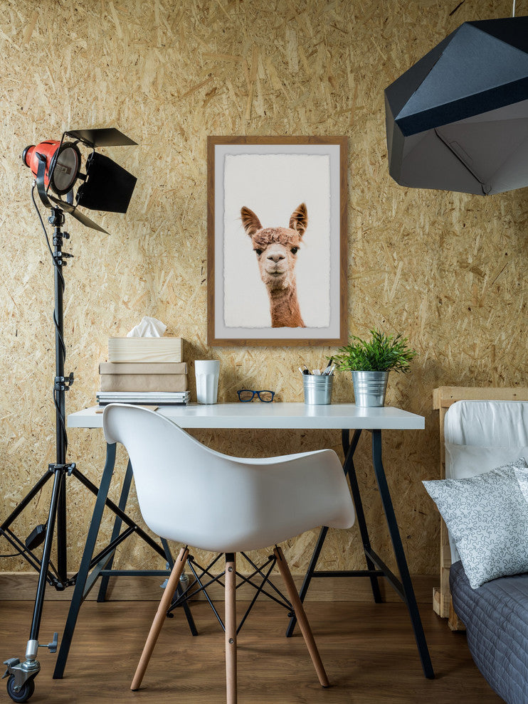 "Llama Face II" Framed Painting Print, 20"x30"