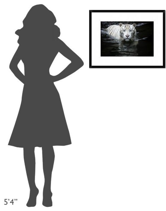 "Looking At Me Looking At You" Framed Digital Print by Renee Doyle, 26"x20"