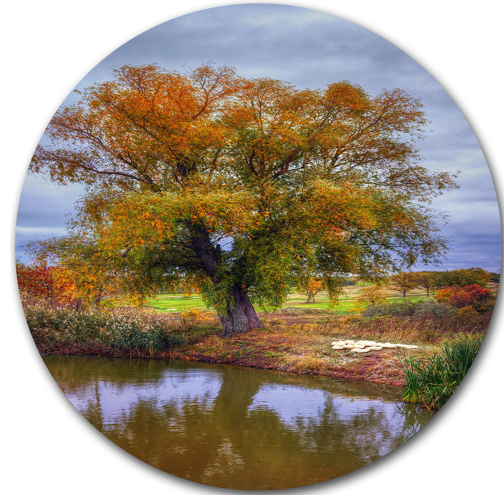 Willow Near Pond, Landscape Photography Round Wall Art, 11"