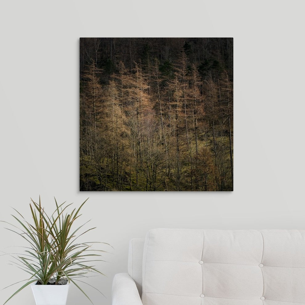 "Soft Light" Wrapped Canvas Art Print, 24"x24"x1.5"