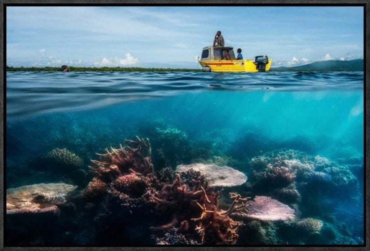 "Second Dive" Framed Canvas Giclee by Pavol Stranak, 23x16"