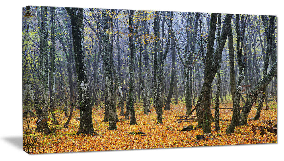 Dark Woods in Autumn Forest, Modern Forest Canvas Art, 32"x16"