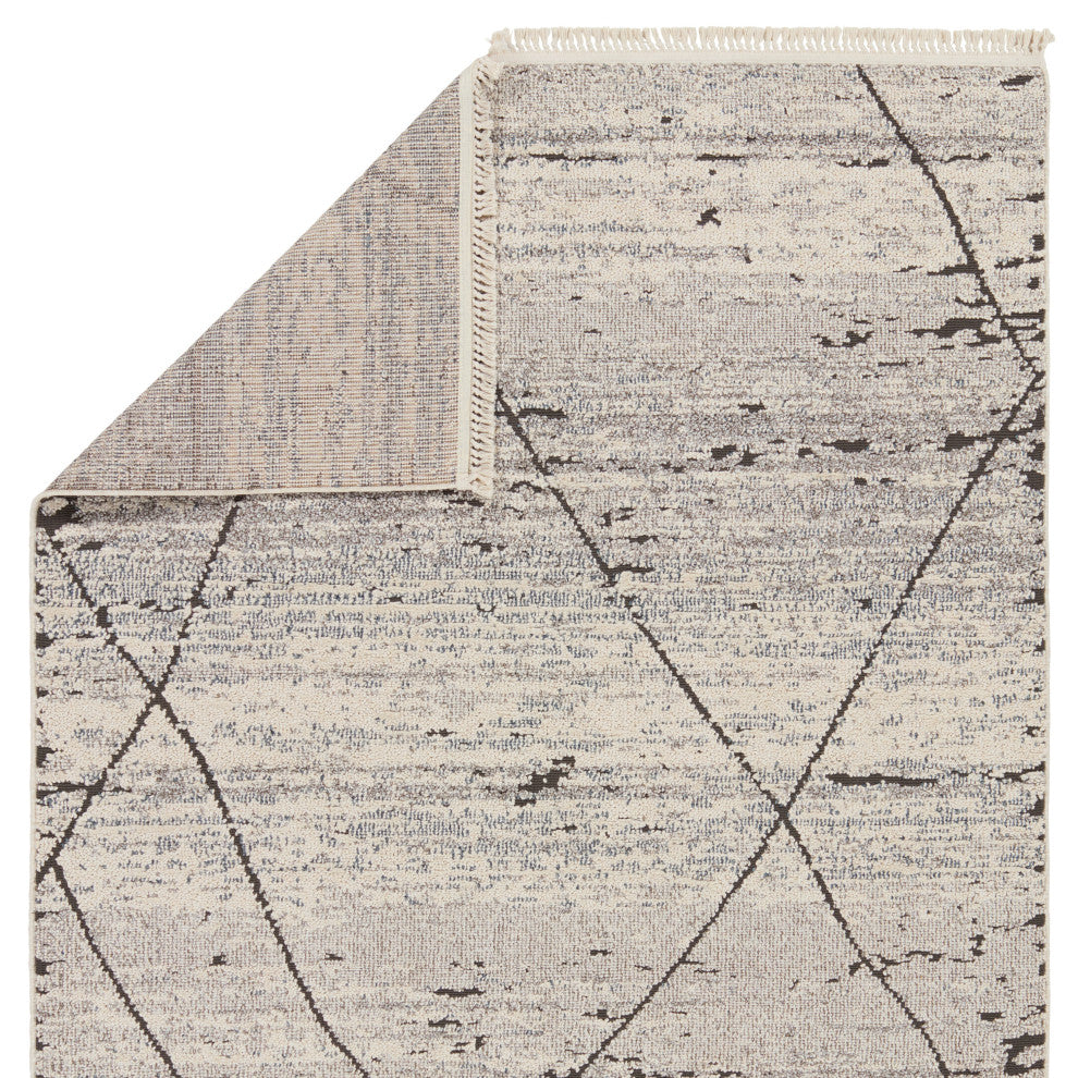 Jaipur Living Imani Trellis Gray/ White Area Rug 8'X10'