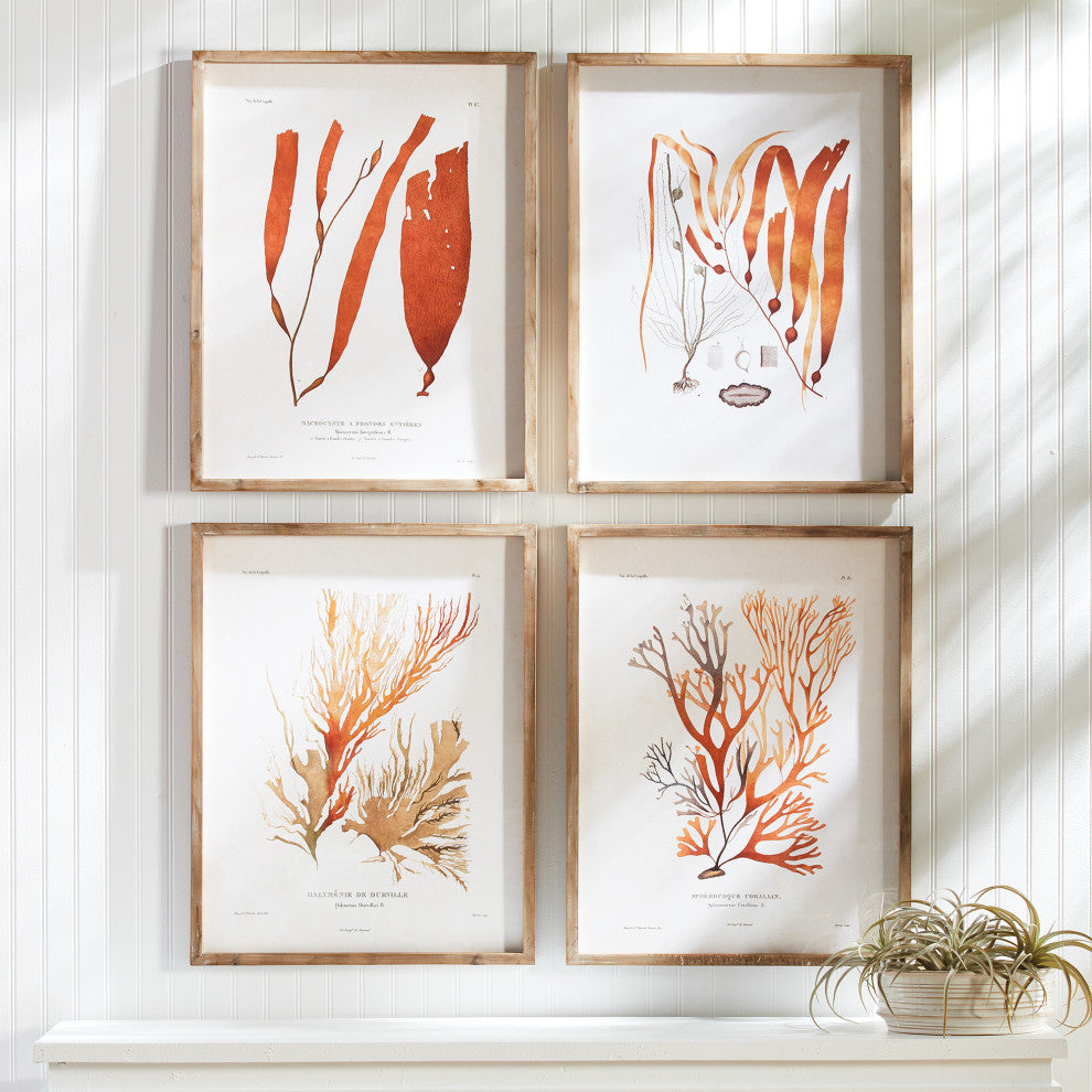 4-Piece Coral Reef Study Set