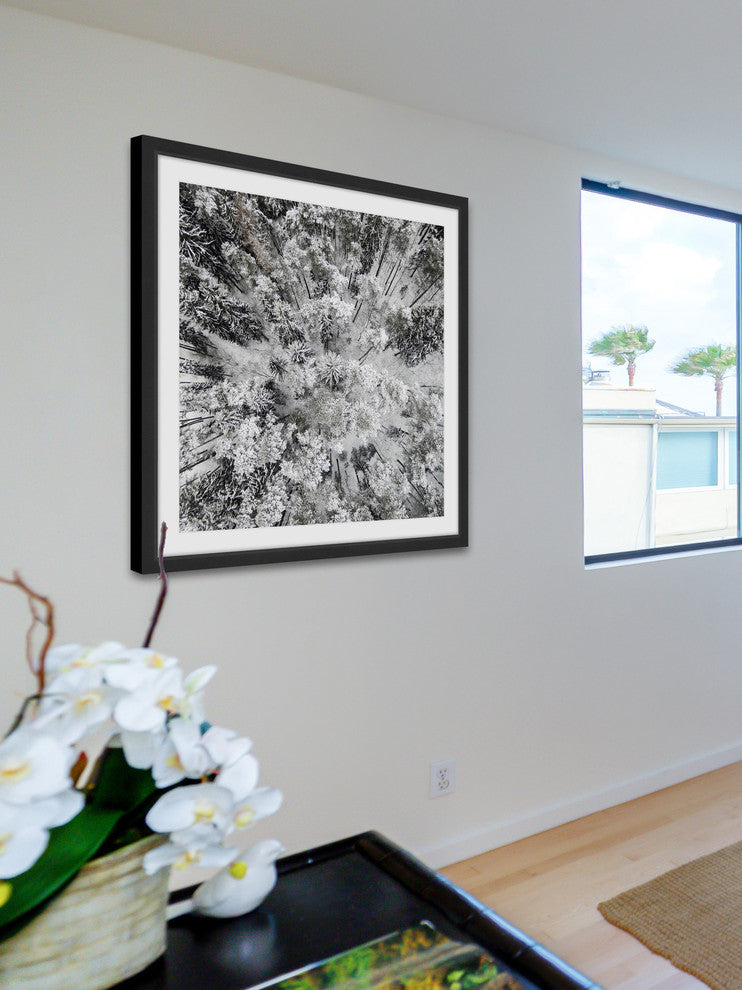 "Tall and Cold" Framed Print by Karolis Janulis