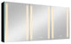 60" W x 30" H Aluminum Surface Mount Medicine Cabinet, Shelves
