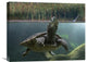 "Turtle Breathing At Surface, Jurong Bird Park, Singapore" Artwork, 24" x 18"