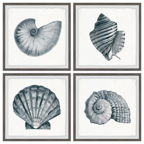 4-Piece "Gray Sea Shells" Quadriptych Set, 64"x64"
