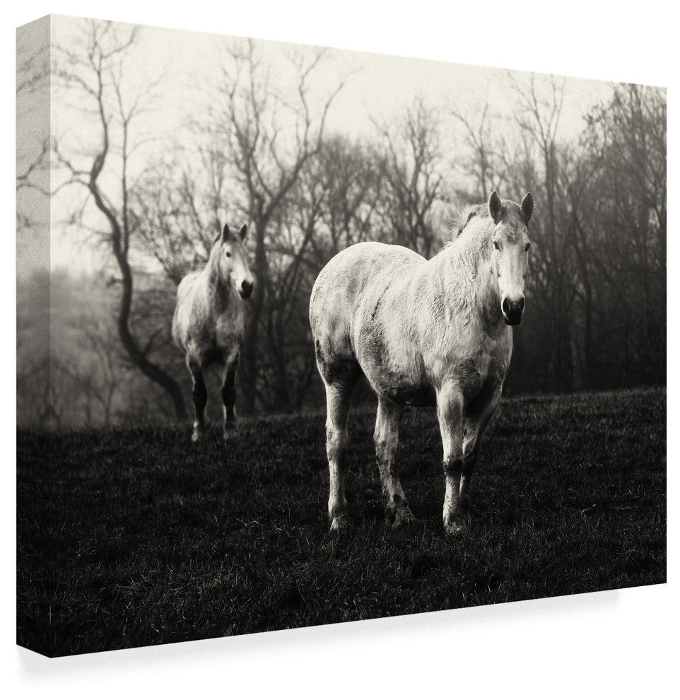 Aledanda 'Leading The Way Horses' Canvas Art