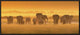 "Golden Light" Framed Canvas Giclee by David Hua, 31x13"