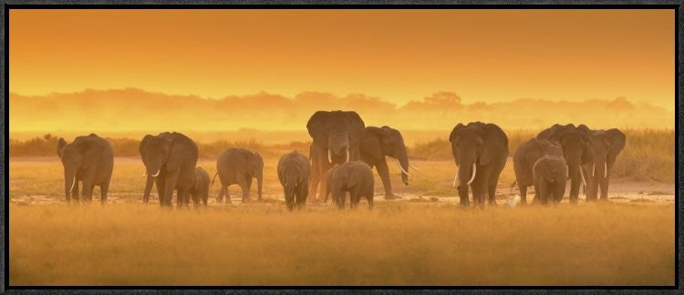 "Golden Light" Framed Canvas Giclee by David Hua, 31x13"