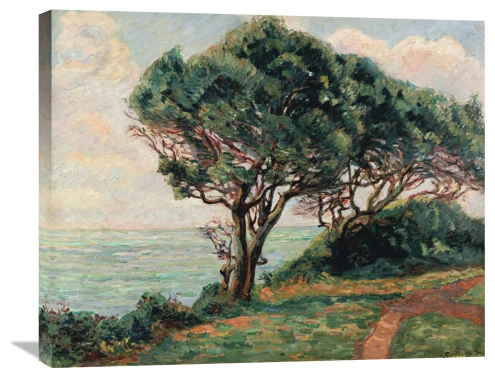 "La Pointe De La Pierriere, St" Artwork, 30" x 24"