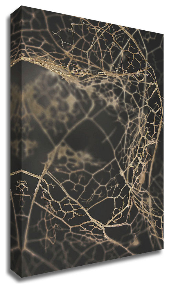 Leaf Skeleton Dark by Design Fabrikken, Print on Canvas, 20" x 28"