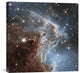 "Infrared View of NGC 2174" Artwork, 24"x24"