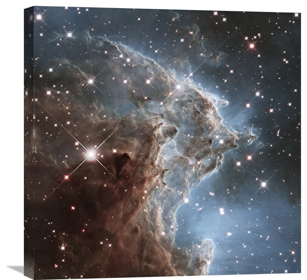 "Infrared View of NGC 2174" Artwork, 24"x24"
