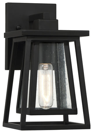 Denver 1-Light Outdoor Wall Lantern, Matte Black