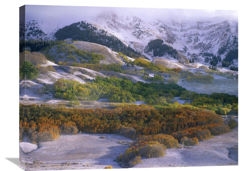 "Elk Mountains With Dusting Of Snow, Colorado" Artwork, 32" x 24"
