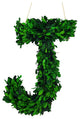 Modern Home 12" Real Preserved Boxwood Monogram Wreath Letters - J
