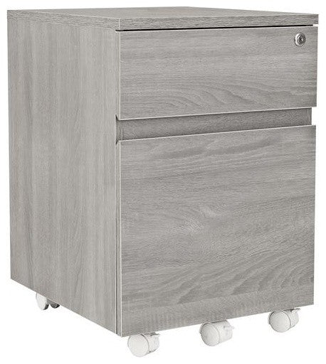 Techni Mobili Rolling 2-Drawer Vertical Filing Cabinet, Gray