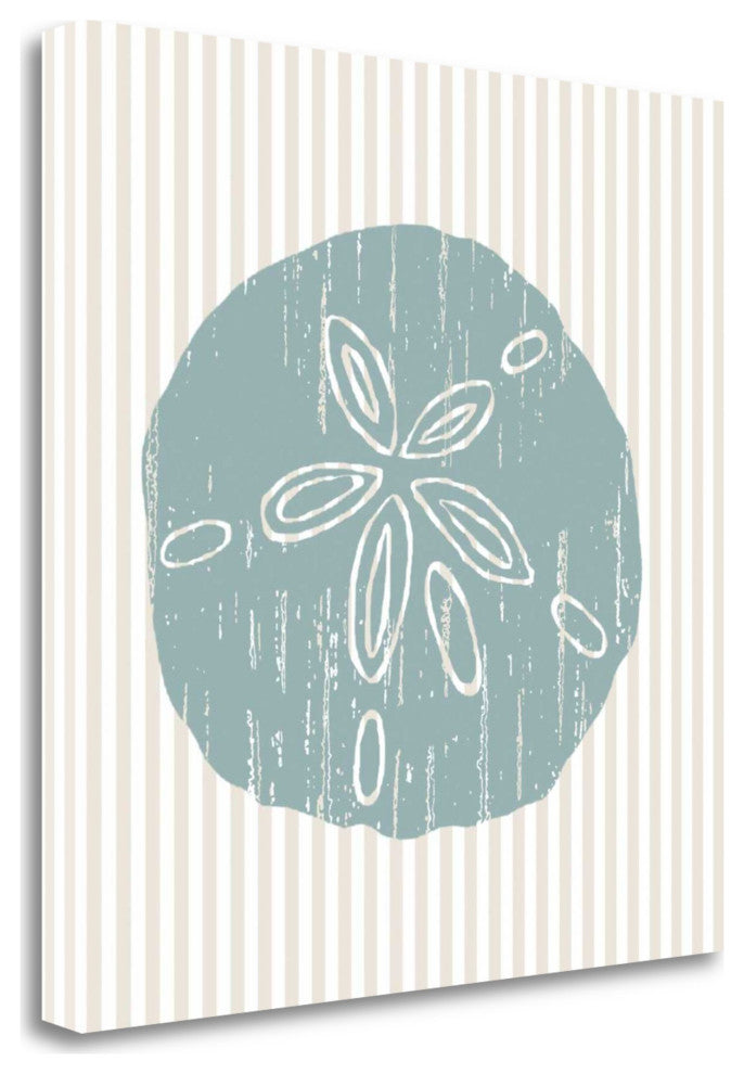 20" Aqua Sandollar Tan Striped Background Giclee Wrap Canvas Wall Art