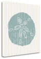 20" Aqua Sandollar Tan Striped Background Giclee Wrap Canvas Wall Art