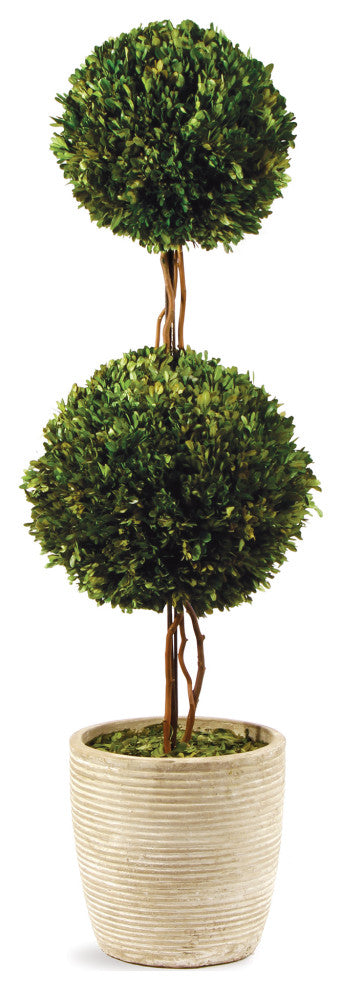 Elegant Double Ball Topiary Pot English Boxwood 28 in Classic Greenery Tabletop