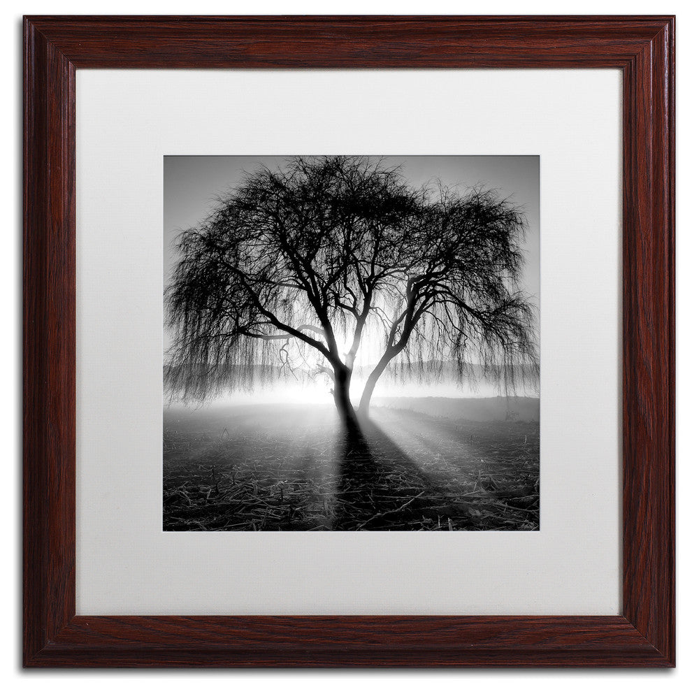 "Lightning Tree I" Matted Framed Canvas Art by Moises Levy