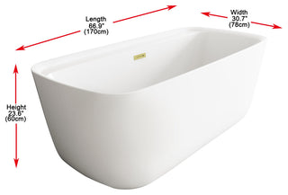 Charolette 67" Soaking Bathtub, Glossy White With Brushed Gold Trim