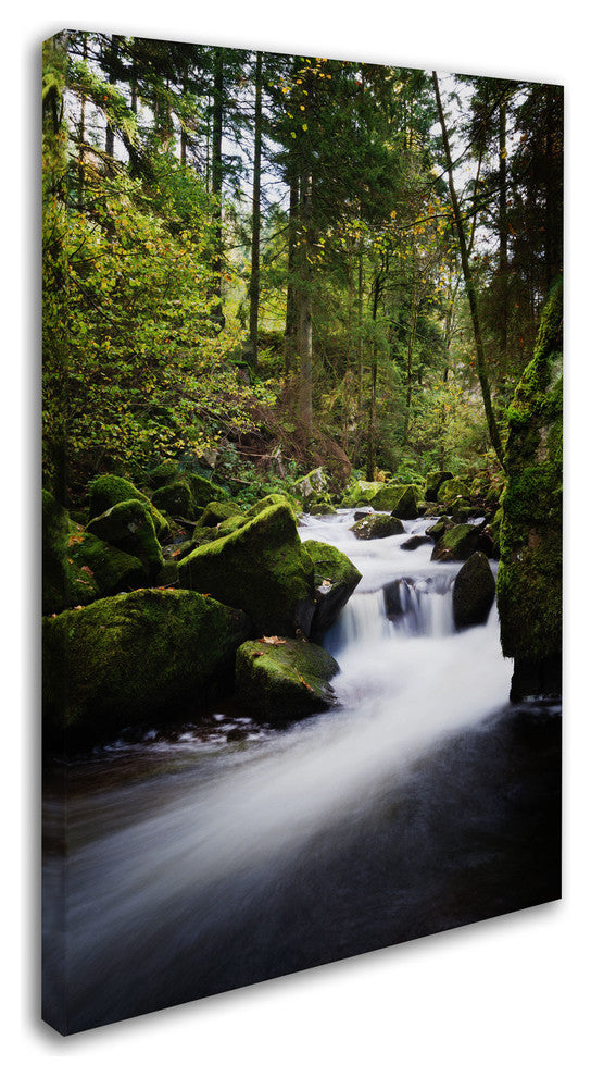 ''Waterfall in the Forest'' Canvas Art by Philippe Sainte-Laudy