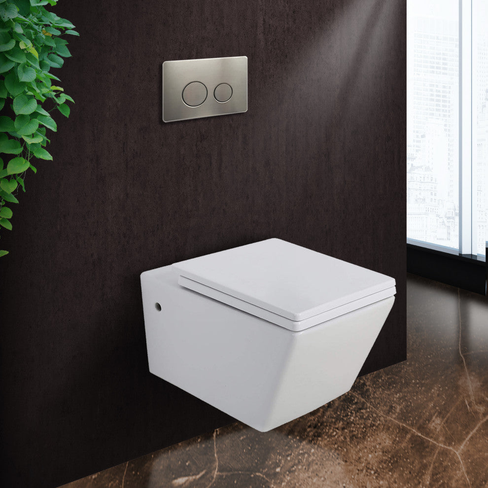 In-Wall Toilet Set, 2"x6" Carrier and Tank, Satin nickel Round Metal Actuators