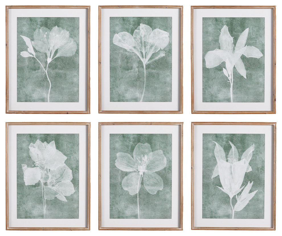 Elegant Set of 6 Translucent White Floral Prints Gray Green White Contemporary