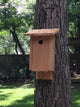 Bird House With Slant Roof, Natural