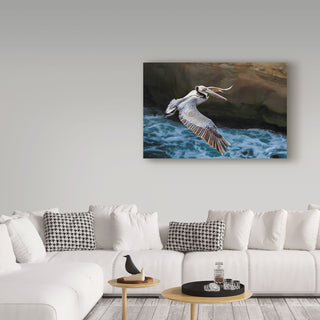 Chris Moyer 'Pelican Flight' Canvas Art, 47"x30"