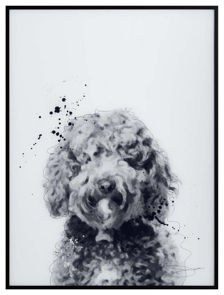 "Labradoodle" Black and White Pet Art on Printed Glass with Anodized Frame