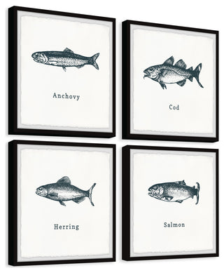Anchovy and Salmon Quadriptych, 4-Piece Set, 18x18 Panels