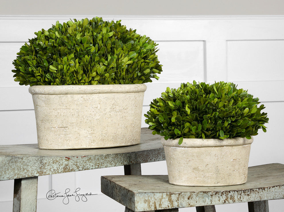 Lifestyle image showing the two potted topiaries in a real-world setting.