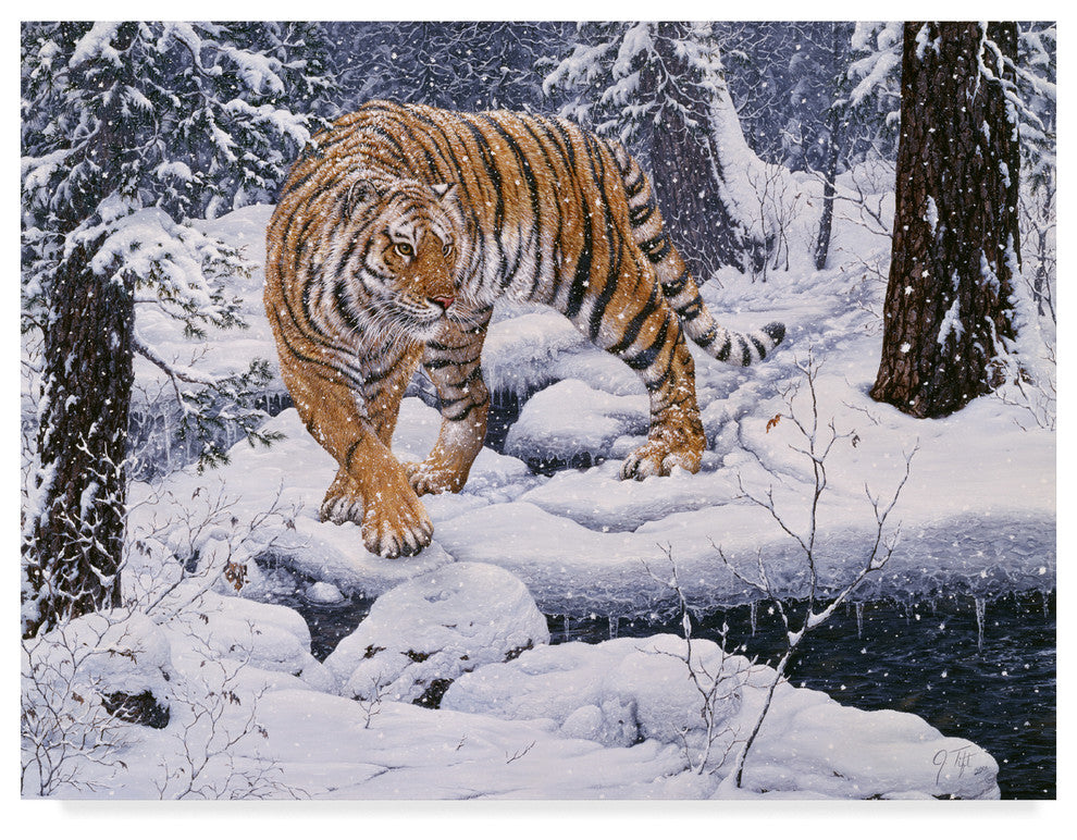 Jeff Tift 'Silent Hunter Siberian Tiger' Canvas Art, 47"x35"
